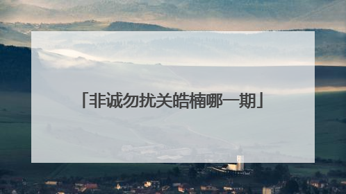 非诚勿扰关皓楠哪一期