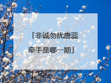 非诚勿扰唐蕊牵手是哪一期