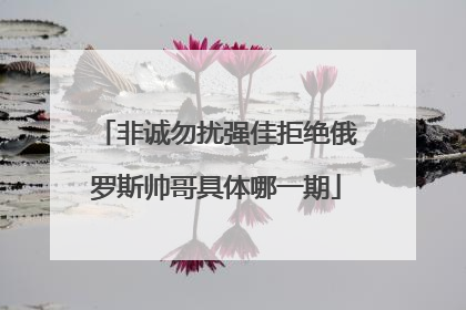 非诚勿扰强佳拒绝俄罗斯帅哥具体哪一期