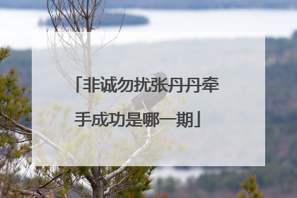 非诚勿扰张丹丹牵手成功是哪一期