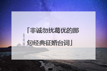 非诚勿扰葛优的那句经典征婚台词