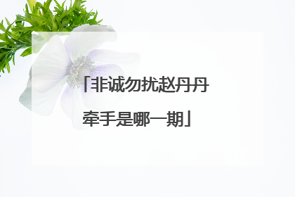 非诚勿扰赵丹丹牵手是哪一期