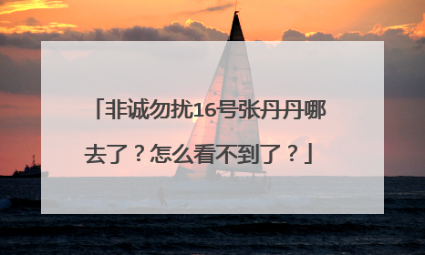 非诚勿扰16号张丹丹哪去了?怎么看不到了?