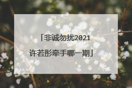 非诚勿扰2021许若彤牵手哪一期