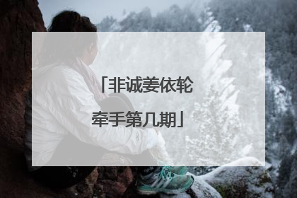 非诚姜依轮牵手第几期