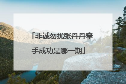 非诚勿扰张丹丹牵手成功是哪一期