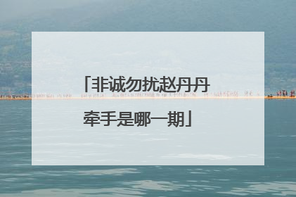 非诚勿扰赵丹丹牵手是哪一期