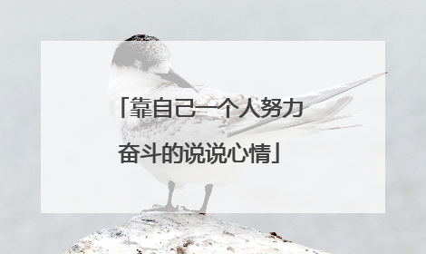 靠自己一个人努力奋斗的说说心情