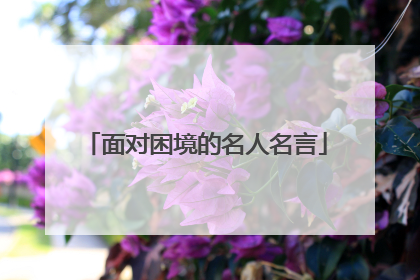 面对困境的名人名言