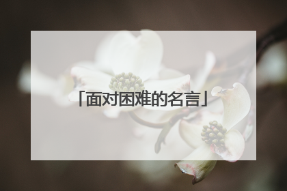 面对困难的名言