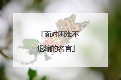 面对困难不退缩的名言