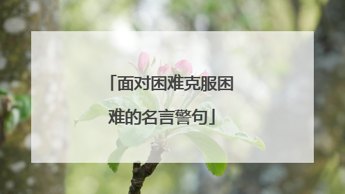 面对困难克服困难的名言警句
