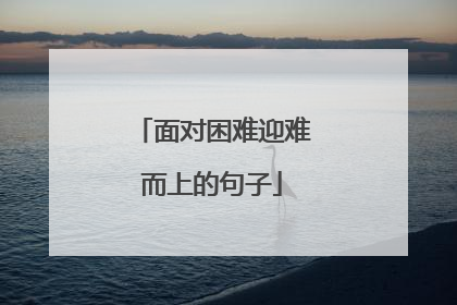 面对困难迎难而上的句子