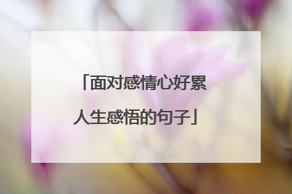 面对感情心好累人生感悟的句子