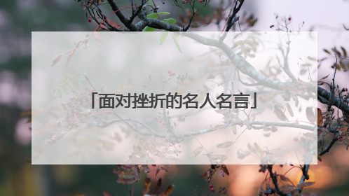 面对挫折的名人名言