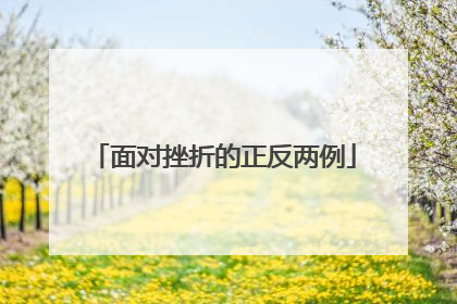 面对挫折的正反两例