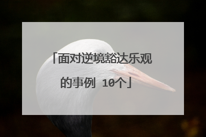 面对逆境豁达乐观的事例 10个