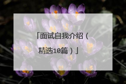 面试自我介绍(精选10篇)
