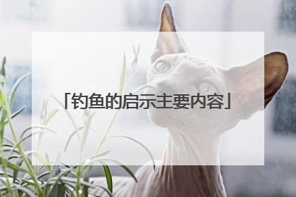 钓鱼的启示主要内容