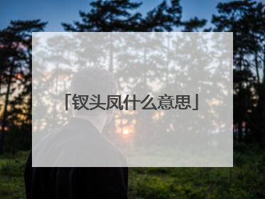 钗头凤什么意思