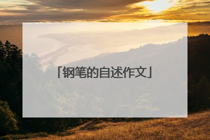 钢笔的自述作文