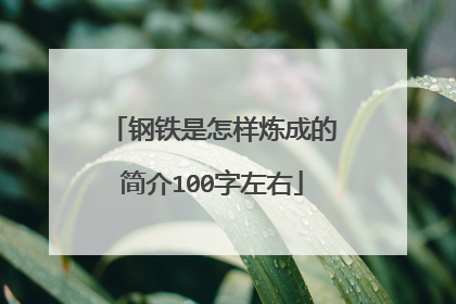 钢铁是怎样炼成的简介100字左右