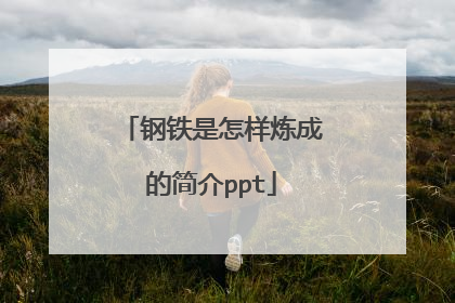 钢铁是怎样炼成的简介ppt