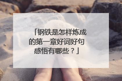 钢铁是怎样炼成的第一章好词好句感悟有哪些?