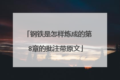 钢铁是怎样炼成的第8章的批注带原文