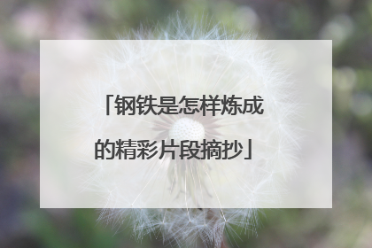钢铁是怎样炼成的精彩片段摘抄