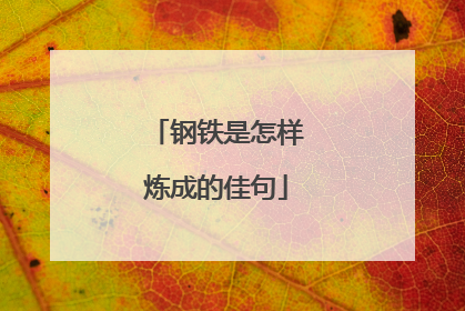 钢铁是怎样炼成的佳句