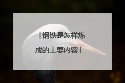 钢铁是怎样炼成的主要内容