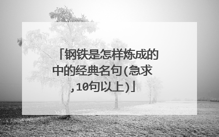 钢铁是怎样炼成的中的经典名句(急求,10句以上)