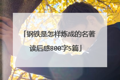 钢铁是怎样炼成的名著读后感800字5篇
