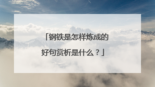 钢铁是怎样炼成的好句赏析是什么？