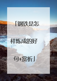 钢铁是怎样炼成的好句+赏析