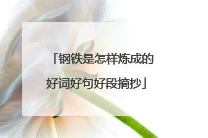 钢铁是怎样炼成的好词好句好段摘抄