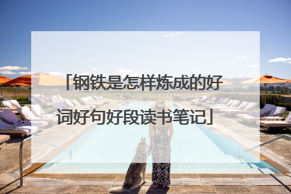 钢铁是怎样炼成的好词好句好段读书笔记