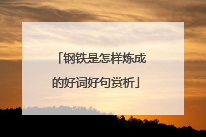 钢铁是怎样炼成的好词好句赏析