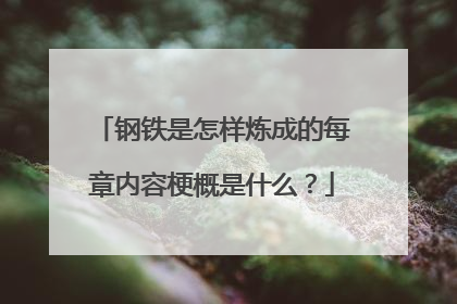 钢铁是怎样炼成的每章内容梗概是什么？