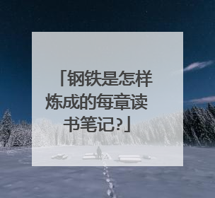 钢铁是怎样炼成的每章读书笔记?