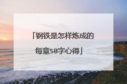 钢铁是怎样炼成的每章50字心得