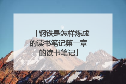 钢铁是怎样炼成的读书笔记第一章的读书笔记