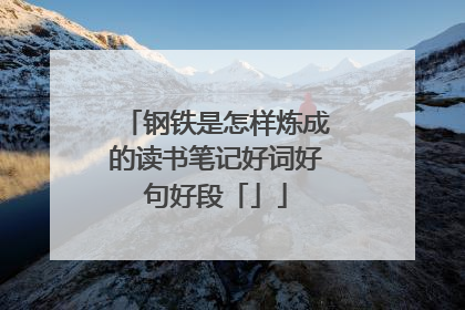 钢铁是怎样炼成的读书笔记好词好句好段「」