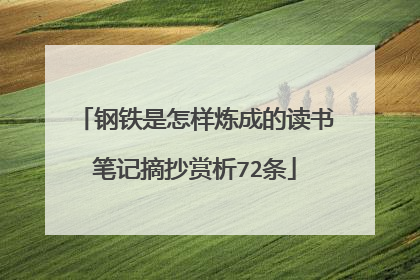钢铁是怎样炼成的读书笔记摘抄赏析72条