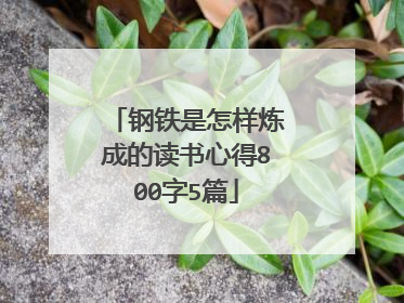 钢铁是怎样炼成的读书心得800字5篇