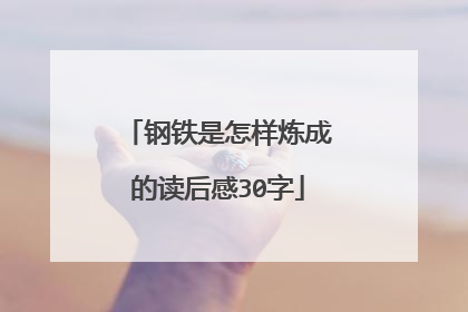 钢铁是怎样炼成的读后感30字