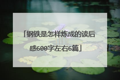 钢铁是怎样炼成的读后感600字左右6篇
