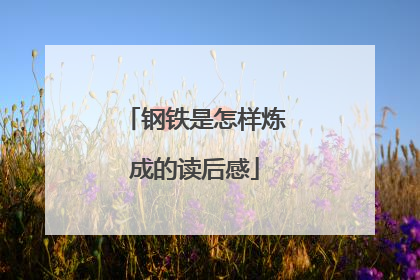 钢铁是怎样炼成的读后感