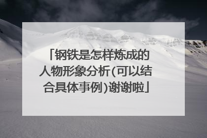 钢铁是怎样炼成的 人物形象分析(可以结合具体事例)谢谢啦